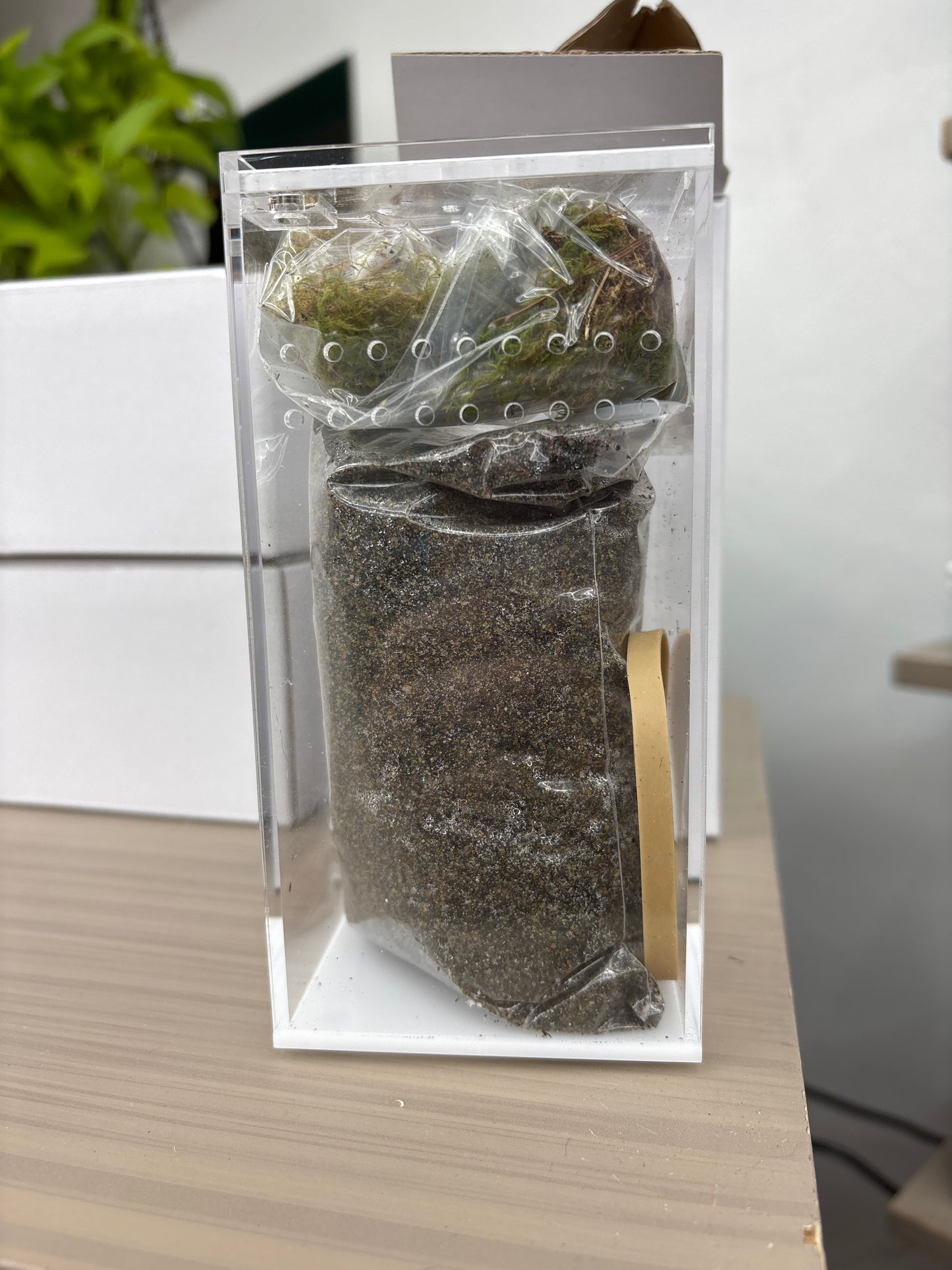 Sling Acrylic Enclosures