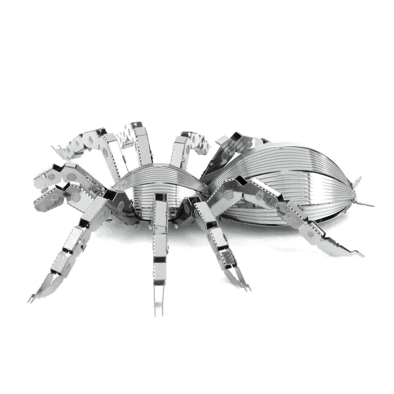 Tarantula spider