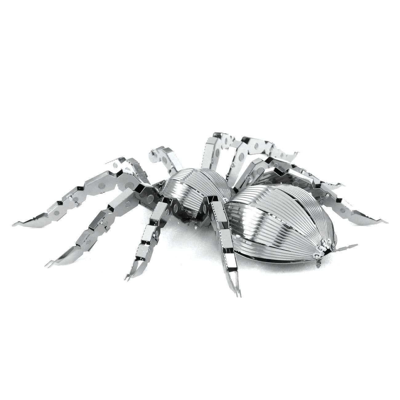 Tarantula spider