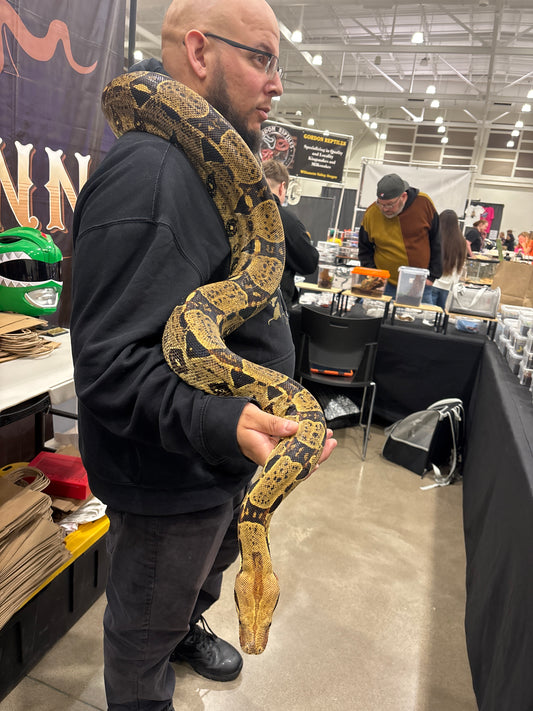 Snake LG holding/pic