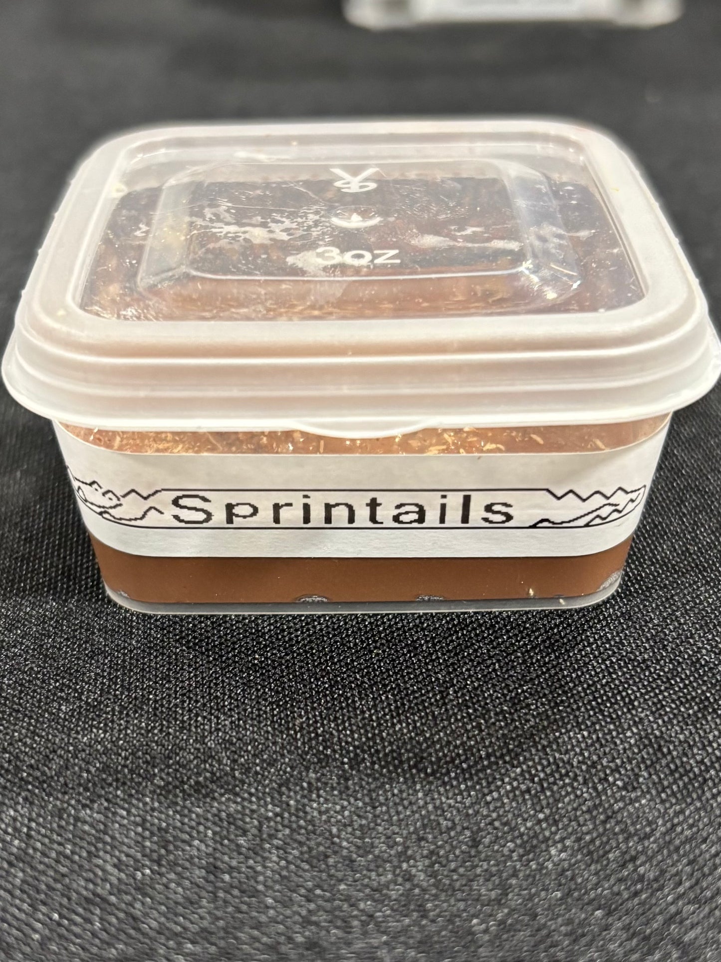 Vulcan Labs Springtails Culture