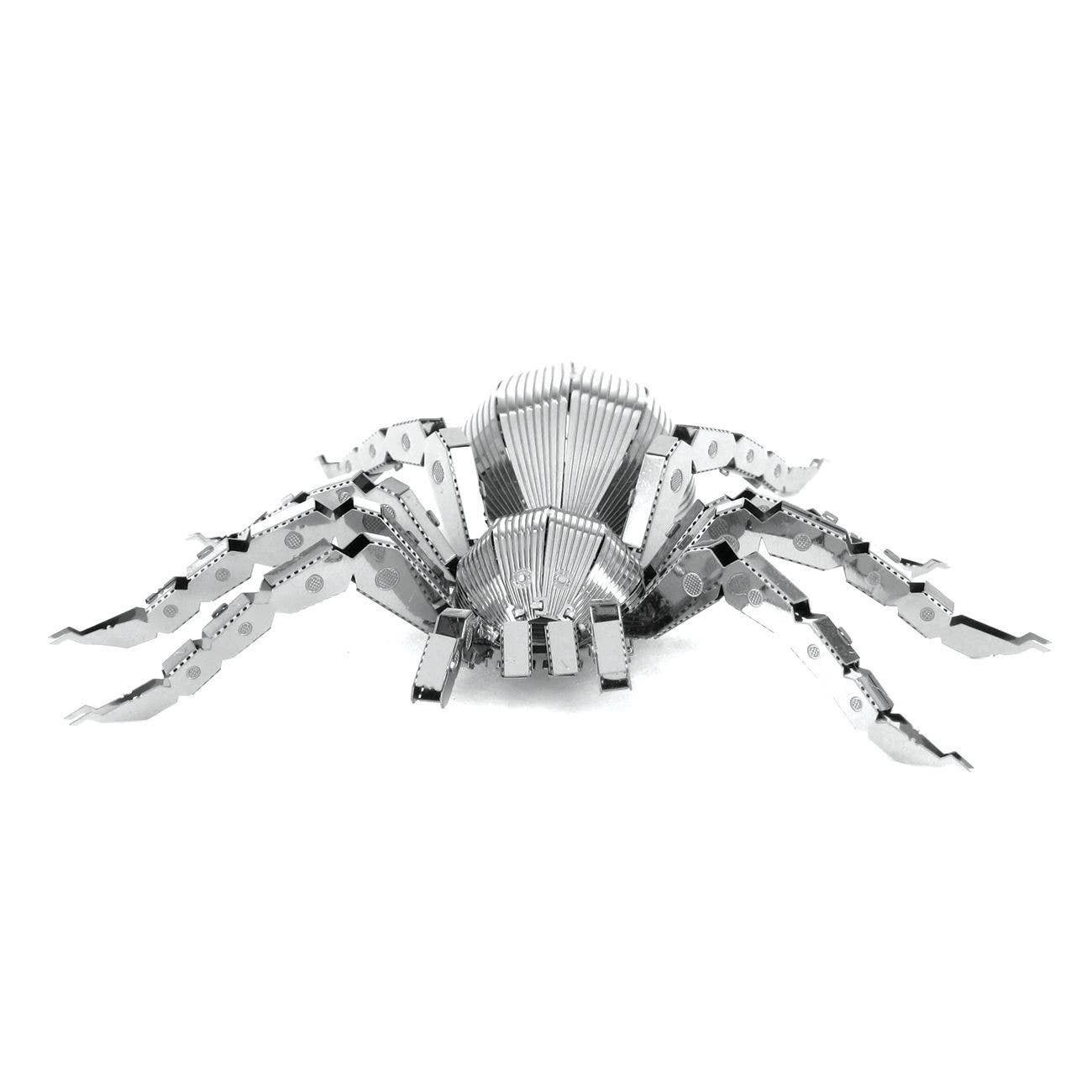 Tarantula spider