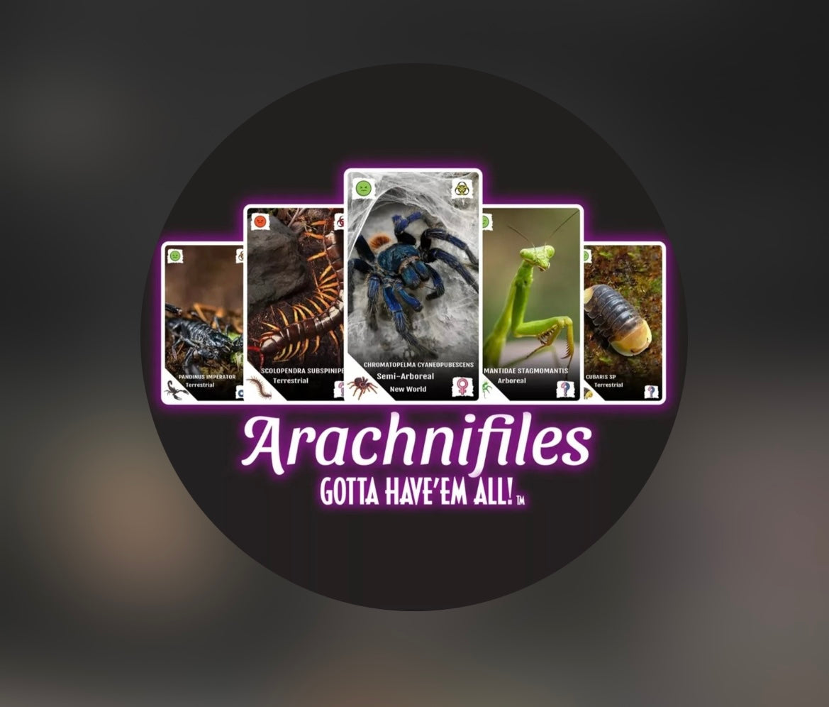 Arachnifiles