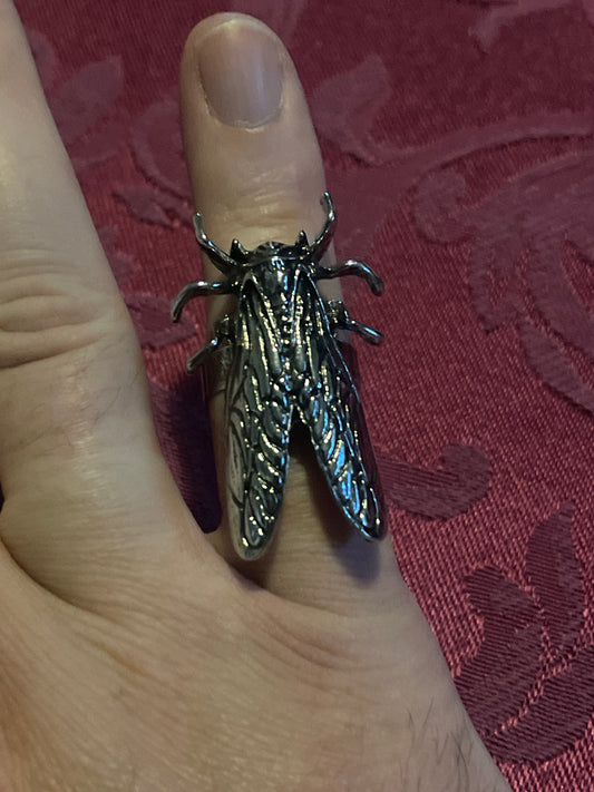 Ring - Cicada