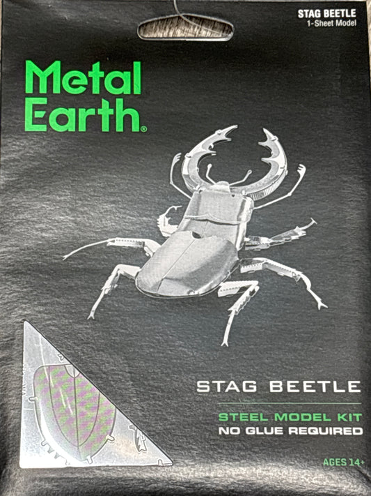 Stag Beetle