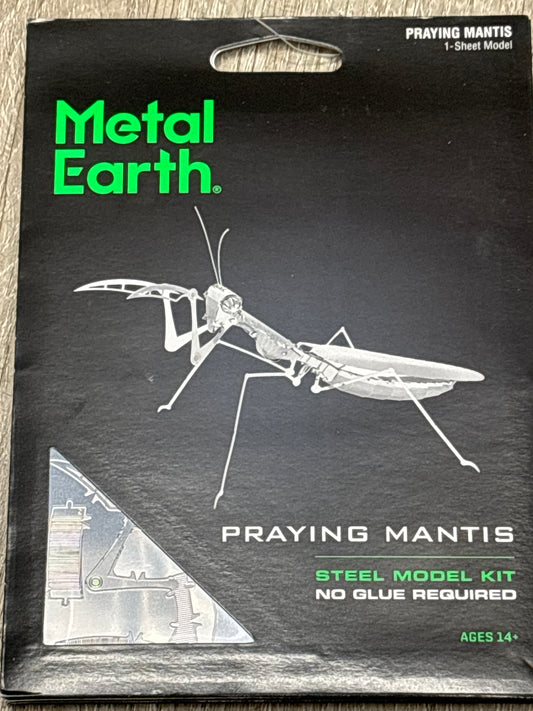 Praying Mantis