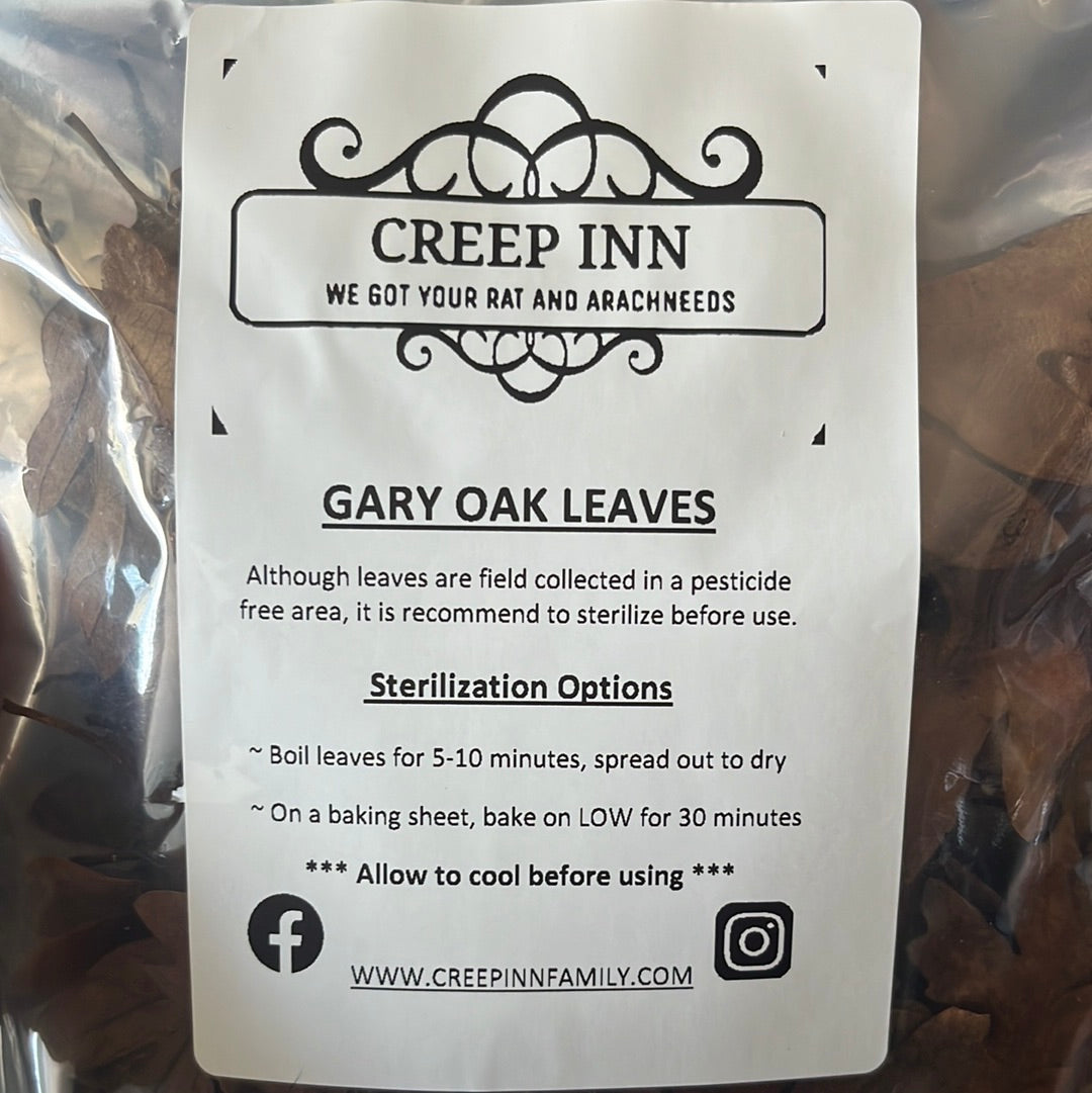 Gary Oak Leaves (4 Quart/ 1 Gallon Bag)