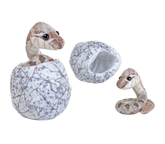 Hatchling Snake