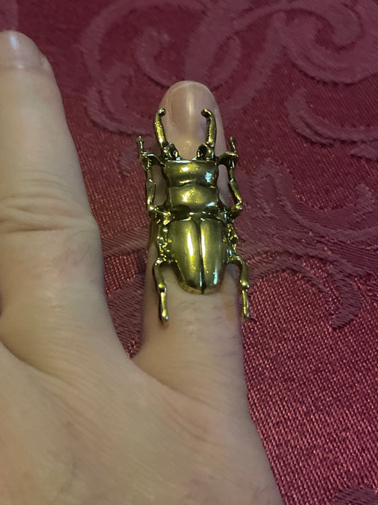 Ring - Beetle