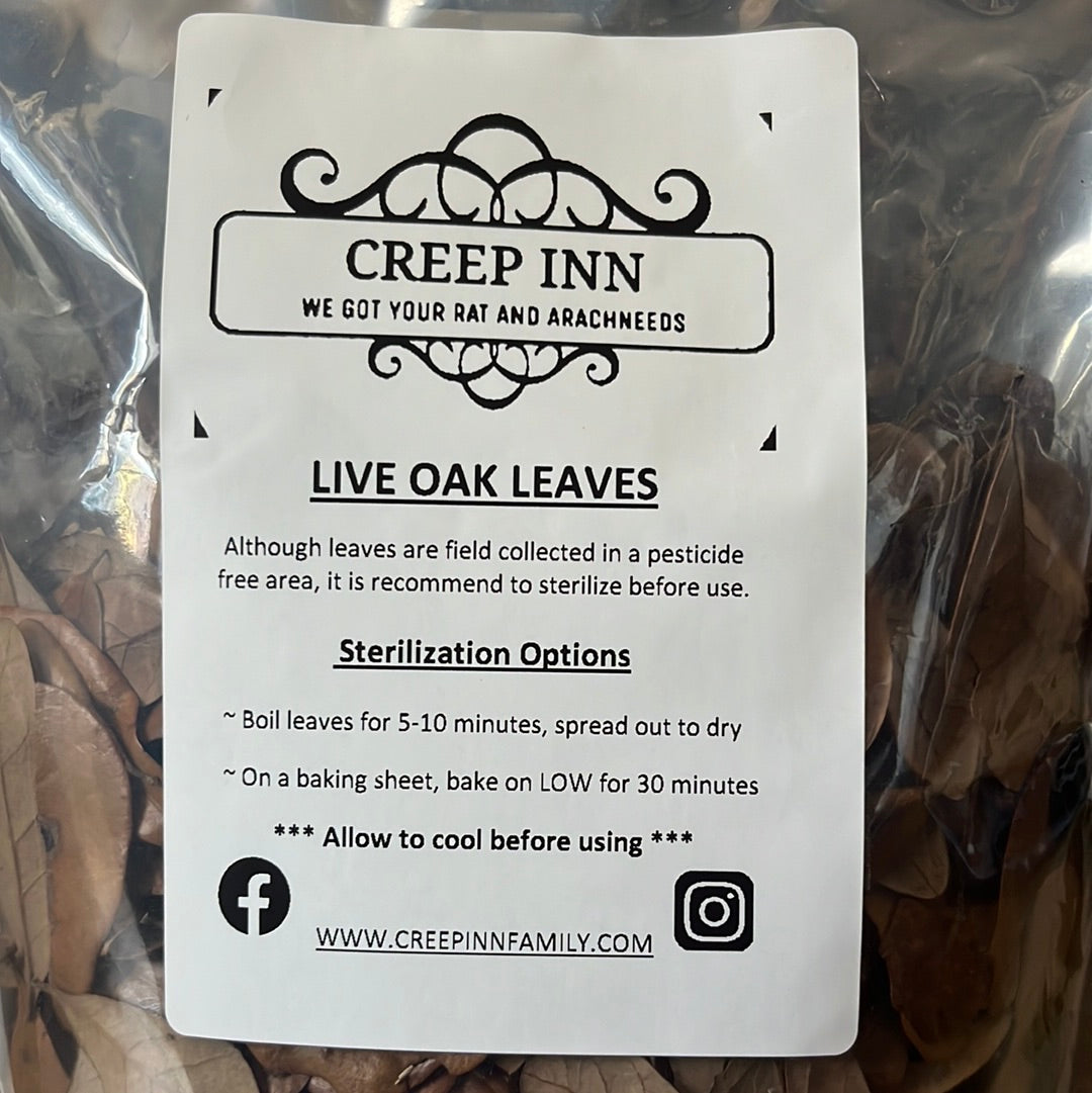 Live Oak Leaves (4 Quart/ 1 Gallon Bag)