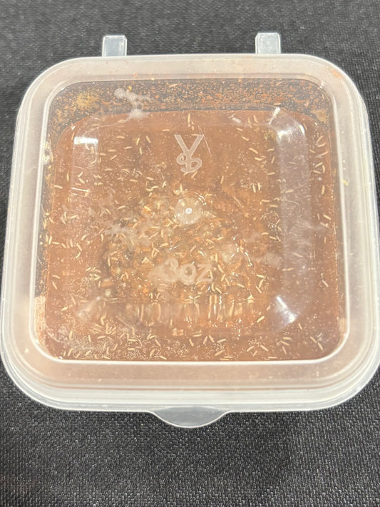Vulcan Labs Springtails Culture