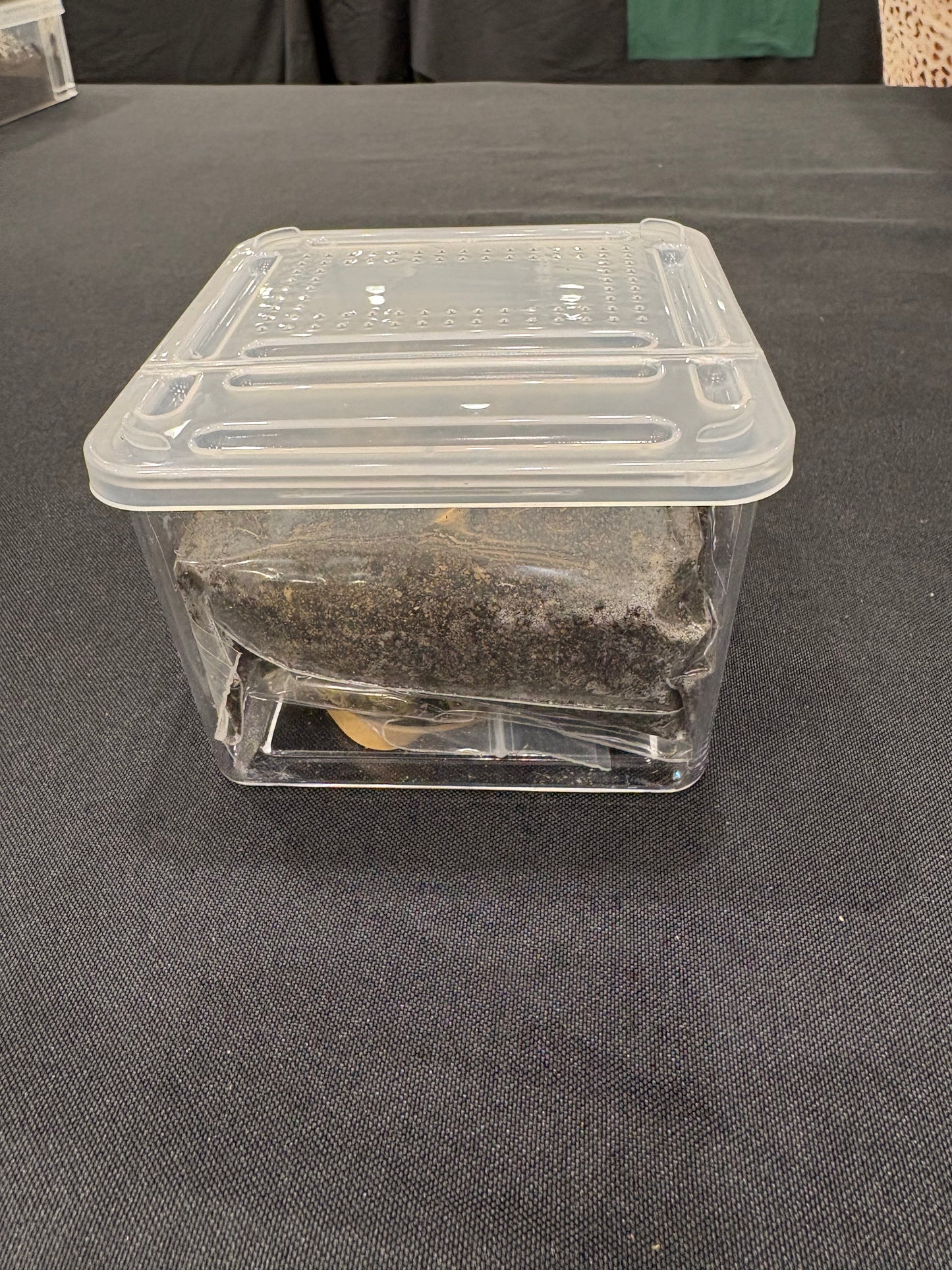 3x4x4 Enclosure