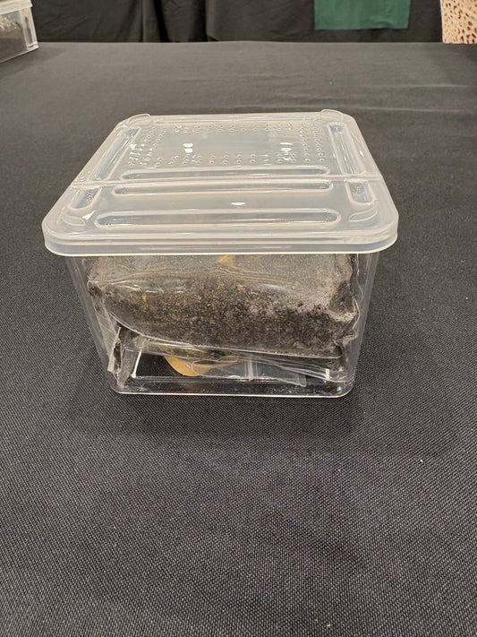 3x4x4 Enclosure