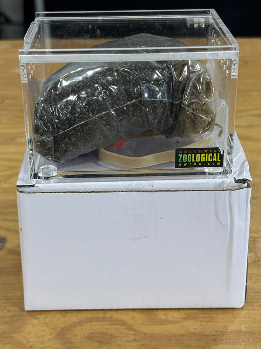Acrylic Enclosure